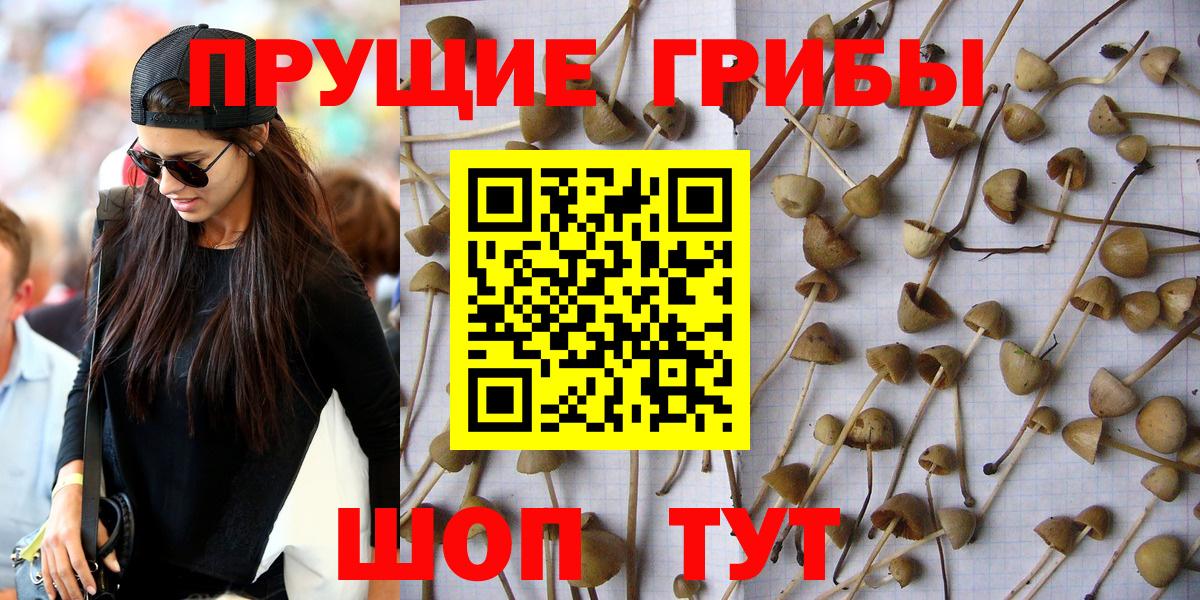 Тольятти  Псилоцибиновые грибы GOLDEN TEACHER  Галлюциногенные грибы Psilocybe  Вход с VPN 